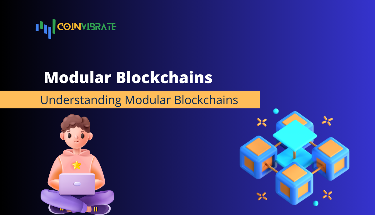 Modular Blockchains