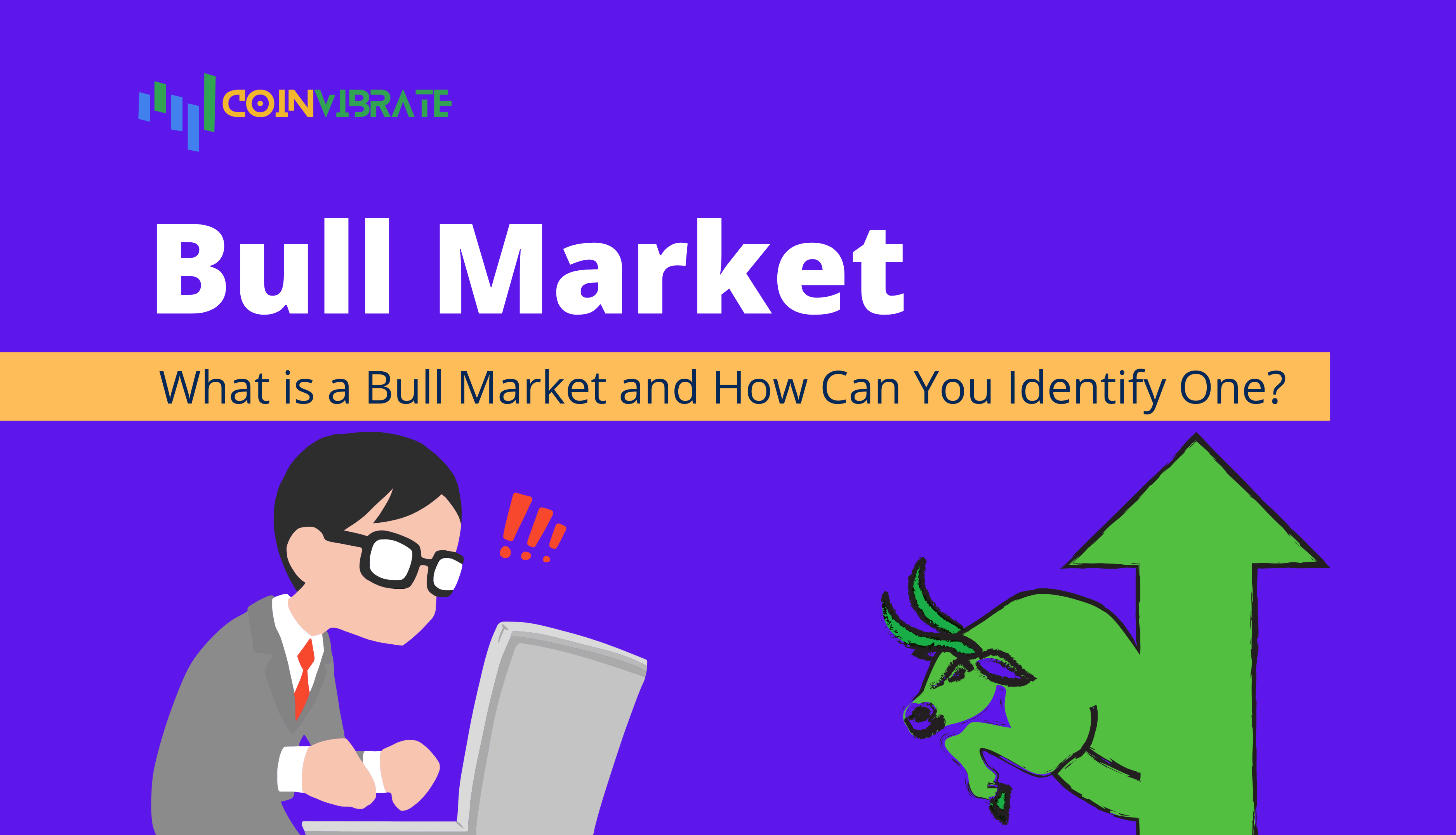 What is a Bull Market